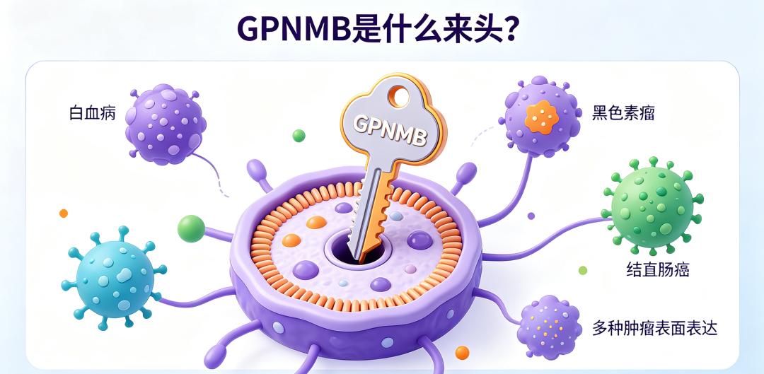 AI助力科研圈！CAR-T之父团队用它算出肿瘤潜力靶点-第3张图片-开云app在线下载-开云体云app官网入口下载-V3.6.9