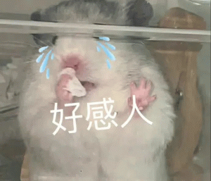 Claude成情绪陪伴新宠，深夜倾诉首选AI-第3张图片-开云app在线下载-开云体云app官网入口下载-V3.6.9